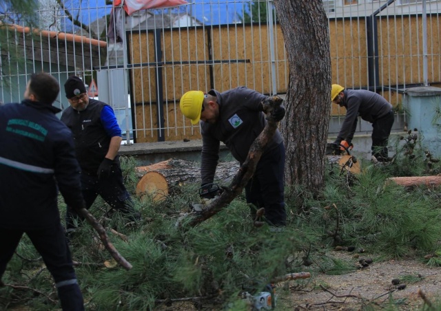 Osmangazi Belediyesi’nden Lodosa Karşı Etkin Müdahale