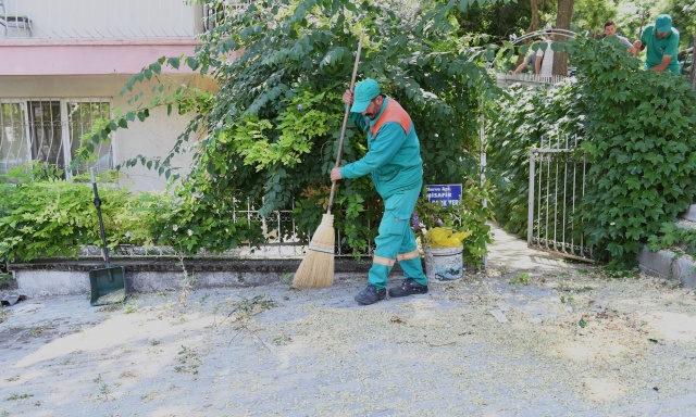 Vatandaşlar Ve Belediye Ekipleri Osmangazi’yi Birlikte Temizliyor