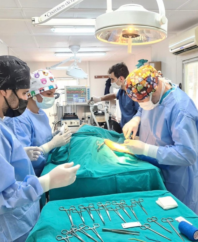 En Fazla Sokak Hayvanını Osmangazi Belediyesi Kısırlaştırdı