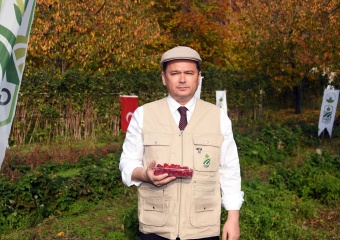 Osmangazi’de Üzümsü Meyvelerde Organik Tarım Seferberliği