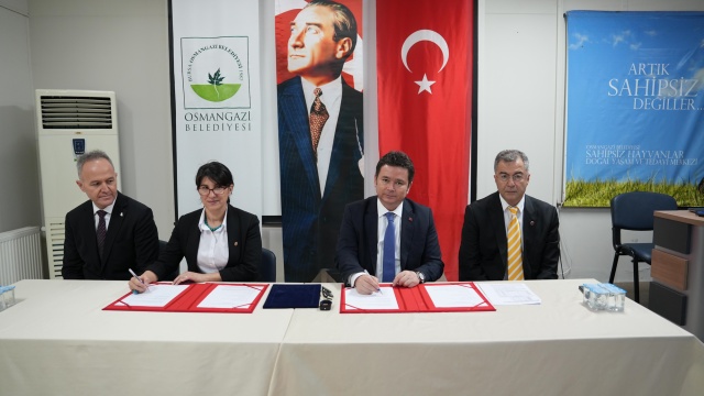 Sahiplenilen Köpeklerin İlk Aşısı ve Muayenesi Osmangazi Belediyesi’nden
